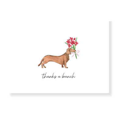 Note Cards